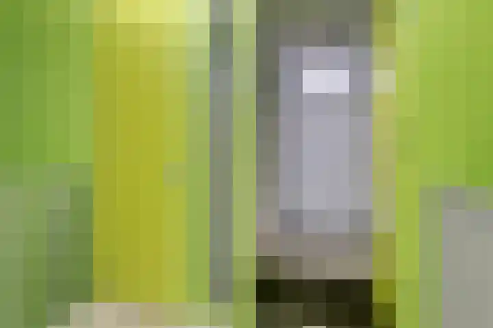 Drechterwaard 207 Alkmaar thumbnail 9