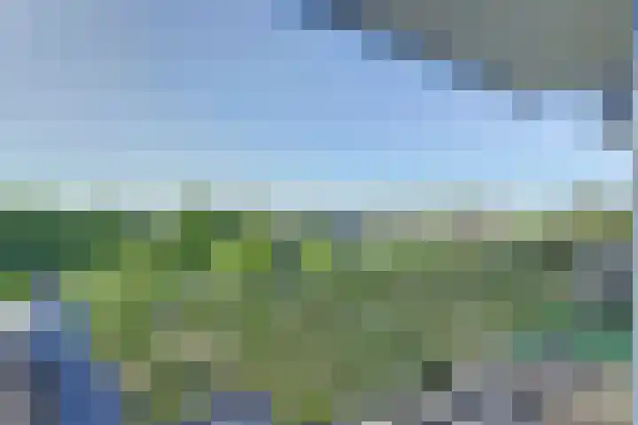 Drechterwaard 233 Alkmaar thumbnail 17