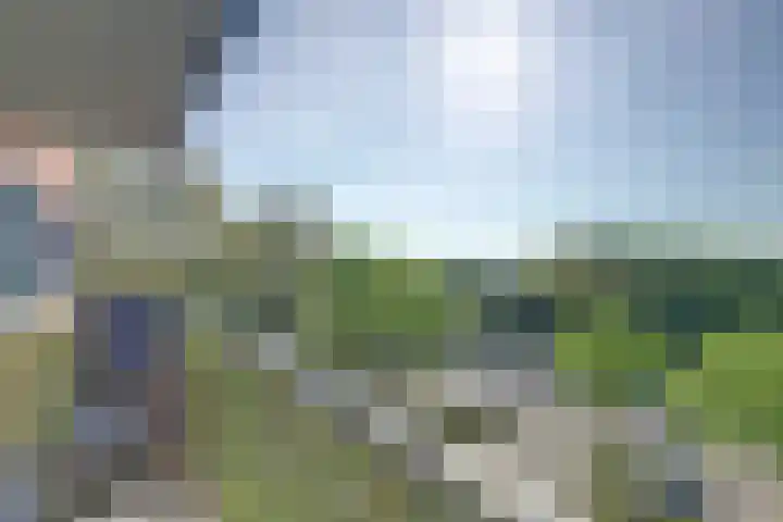 Drechterwaard 233 Alkmaar thumbnail 20