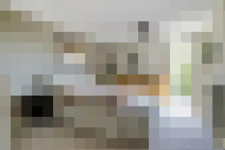 Drechterwaard 233 Alkmaar thumbnail 23