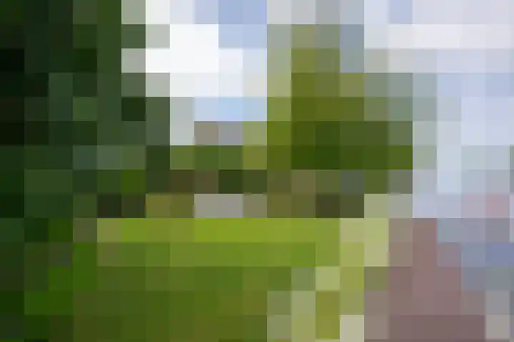 Drechtkade 6 Leimuiden thumbnail 11