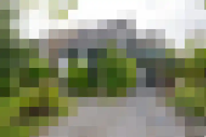 Drechtkade 6 Leimuiden thumbnail 12