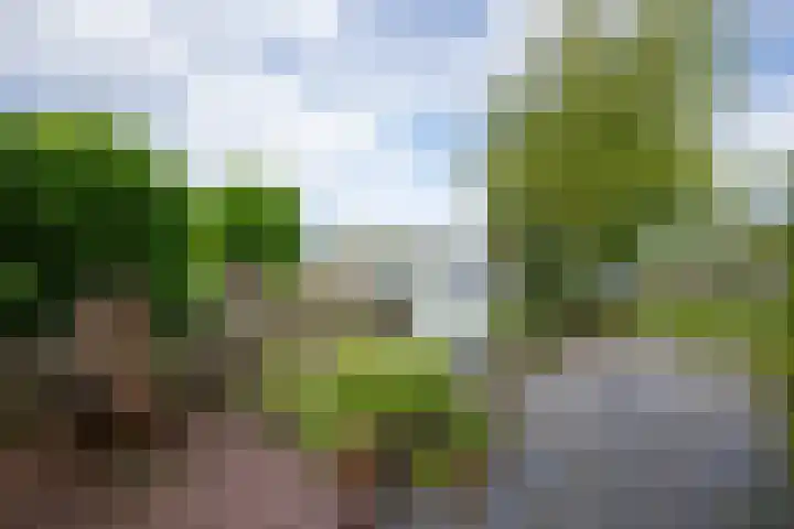 Drechtkade 6 Leimuiden thumbnail 14