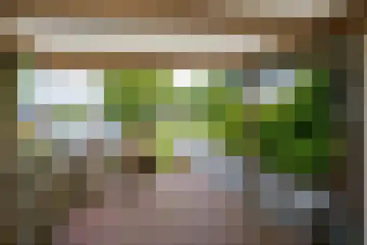 Drechtkade 6 Leimuiden thumbnail 15