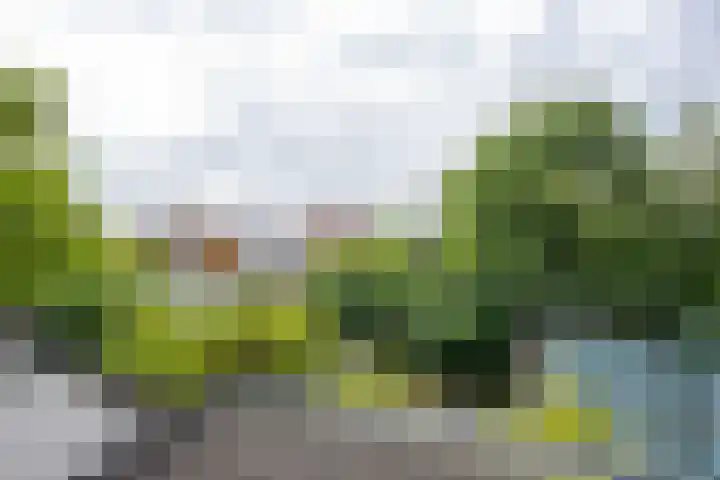 Drechtkade 6 Leimuiden thumbnail 41