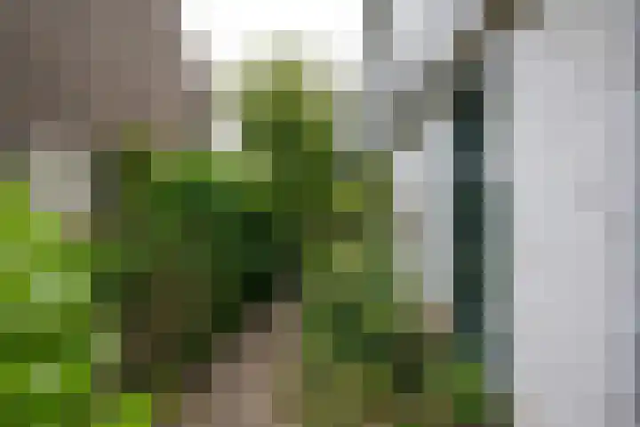 Drechtkade 6 Leimuiden thumbnail 42