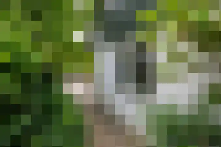 Drechtkade 6 Leimuiden thumbnail 43