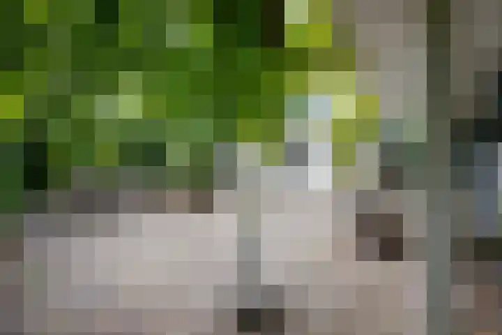 Drechtkade 6 Leimuiden thumbnail 44