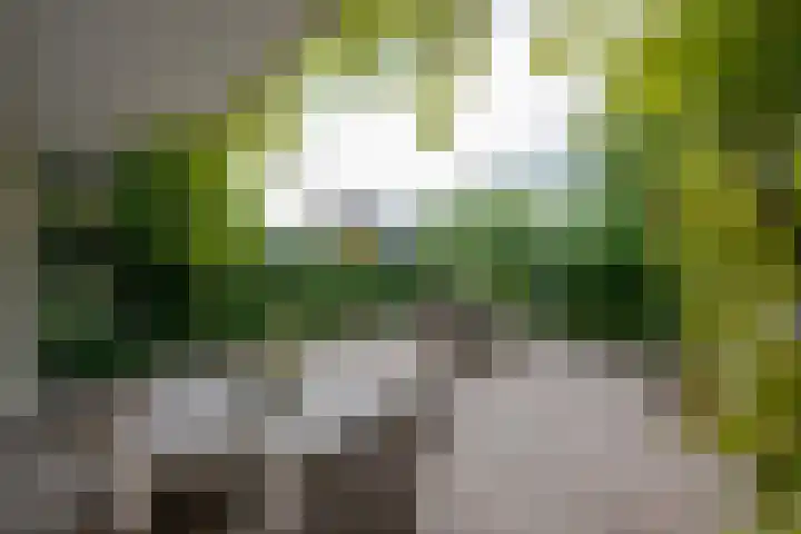 Drechtkade 6 Leimuiden thumbnail 45