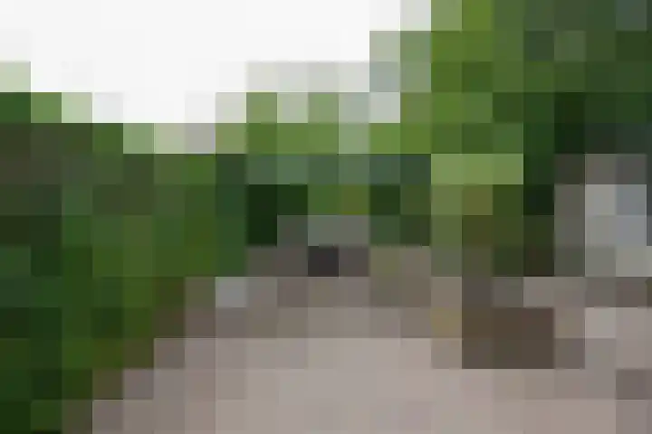 Drechtkade 6 Leimuiden thumbnail 46