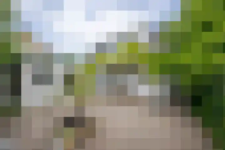 Drechtkade 6 Leimuiden thumbnail 48