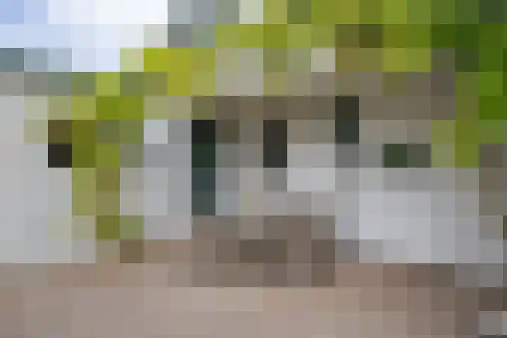 Drechtkade 6 Leimuiden thumbnail 49