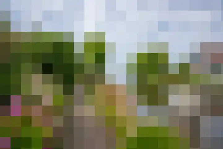 Drechtkade 6 Leimuiden thumbnail 5