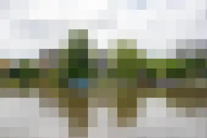 Drechtkade 6 Leimuiden thumbnail 53