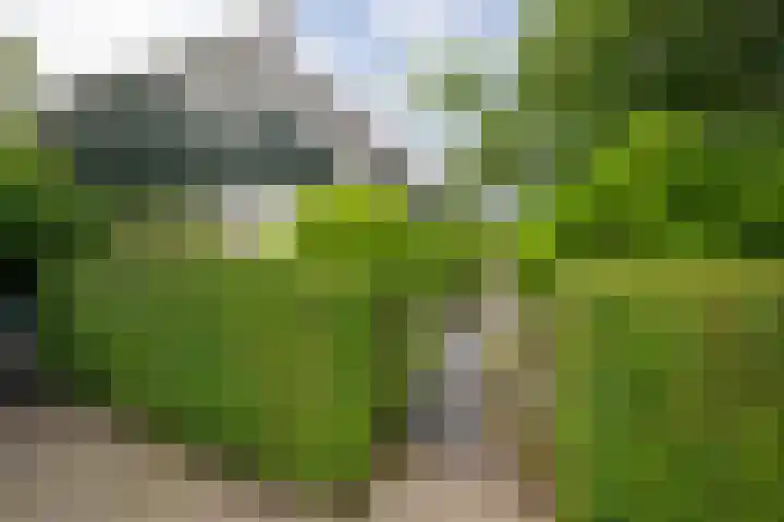 Drechtkade 6 Leimuiden thumbnail 6