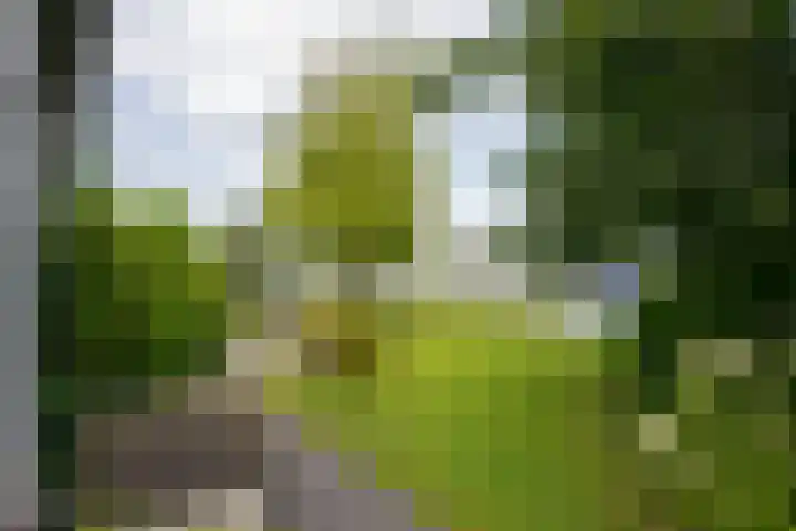 Drechtkade 6 Leimuiden thumbnail 7