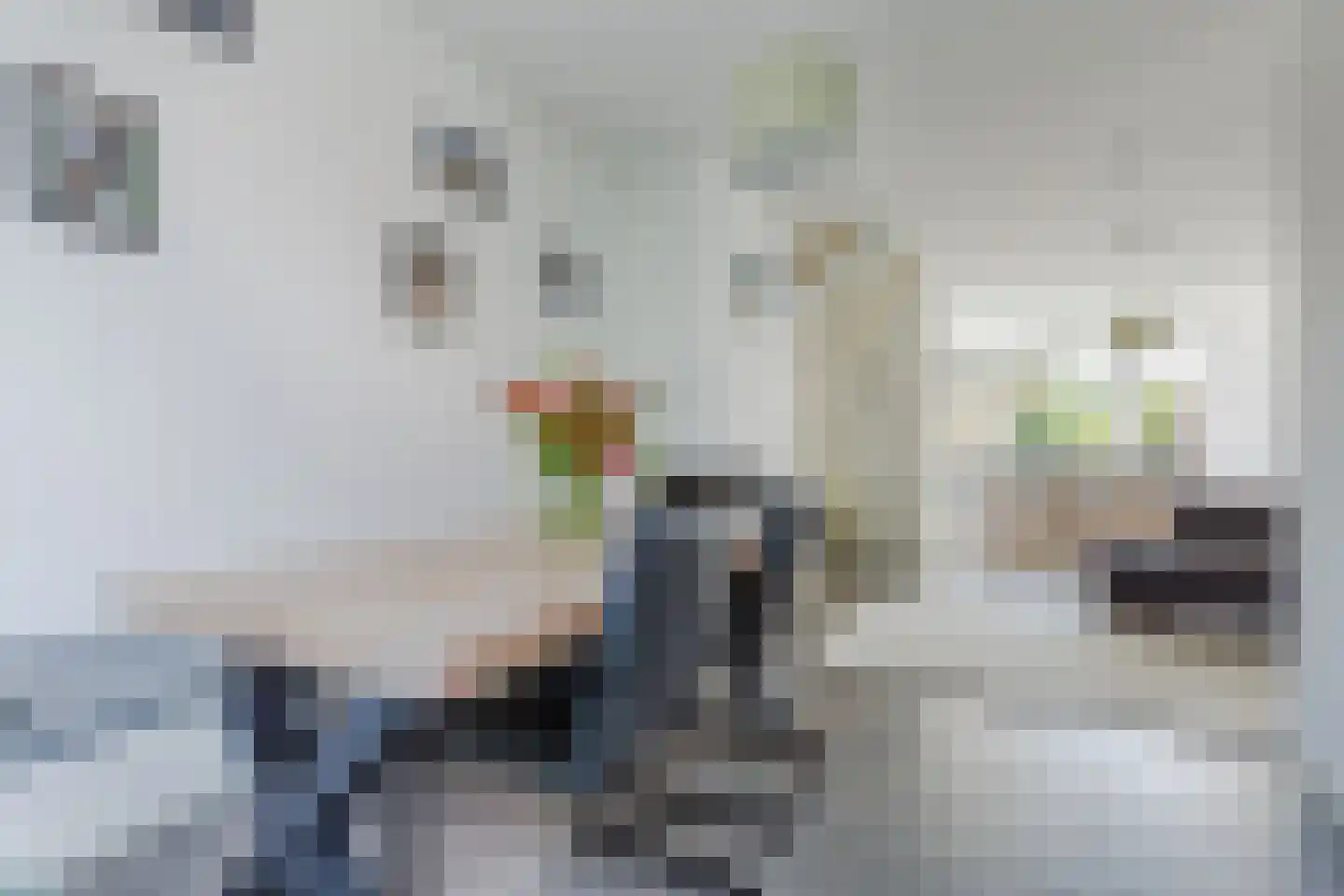 Drechtlaan 26 Leimuiden thumbnail 11
