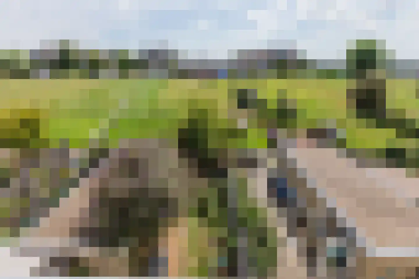 Drechtlaan 26 Leimuiden thumbnail 38