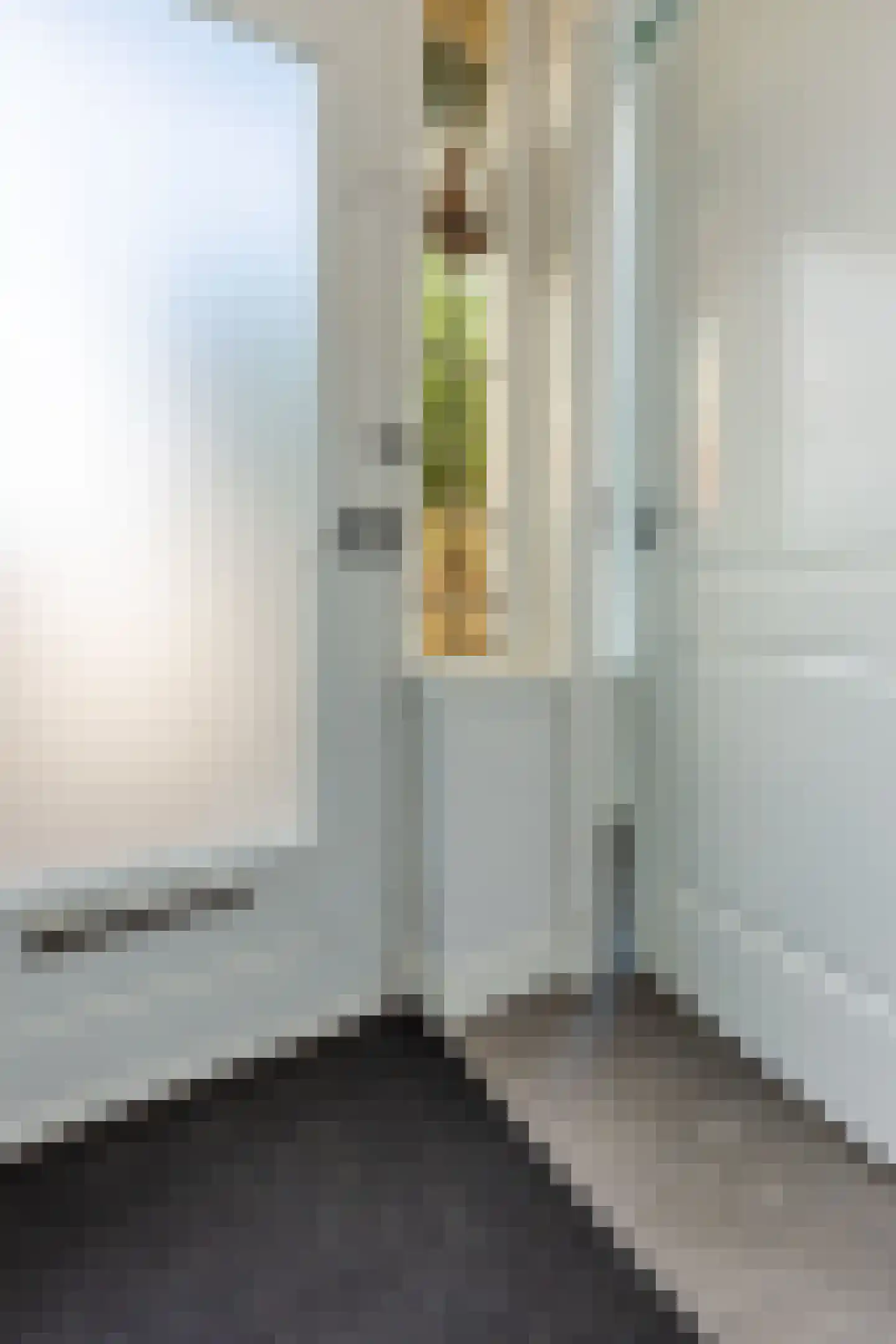 Drechtlaan 26 Leimuiden thumbnail 8