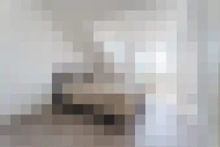 Drechtlaan 60 Leimuiden thumbnail 31