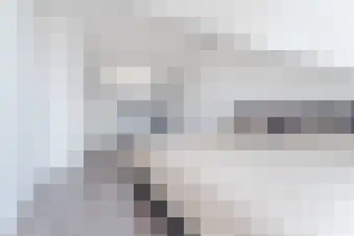 Drechtlaan 60 Leimuiden thumbnail 34