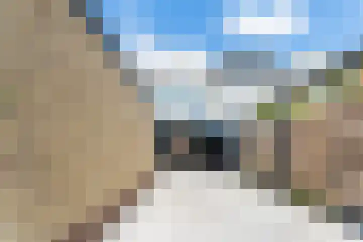 Drechtlaan 60 Leimuiden thumbnail 41
