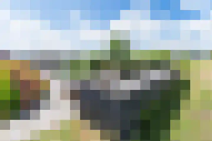 Drechtlaan 60 Leimuiden thumbnail 43
