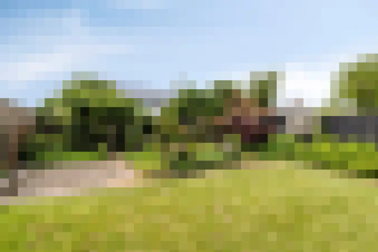 Dreef 1 a Wadenoijen thumbnail 10