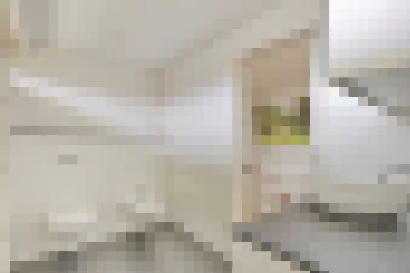 Dreef 1 a Wadenoijen thumbnail 31