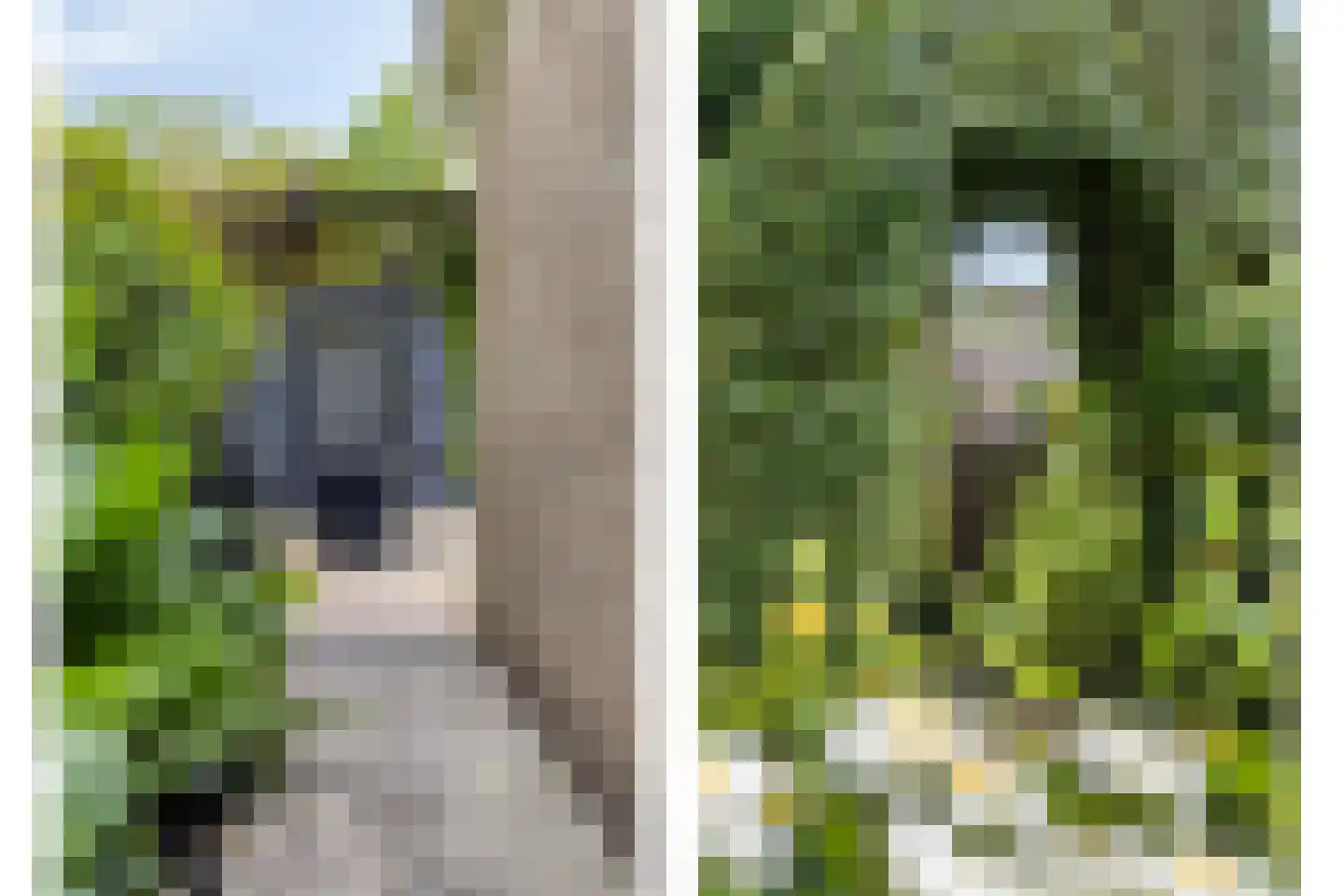 Dreef 1 a Wadenoijen thumbnail 33