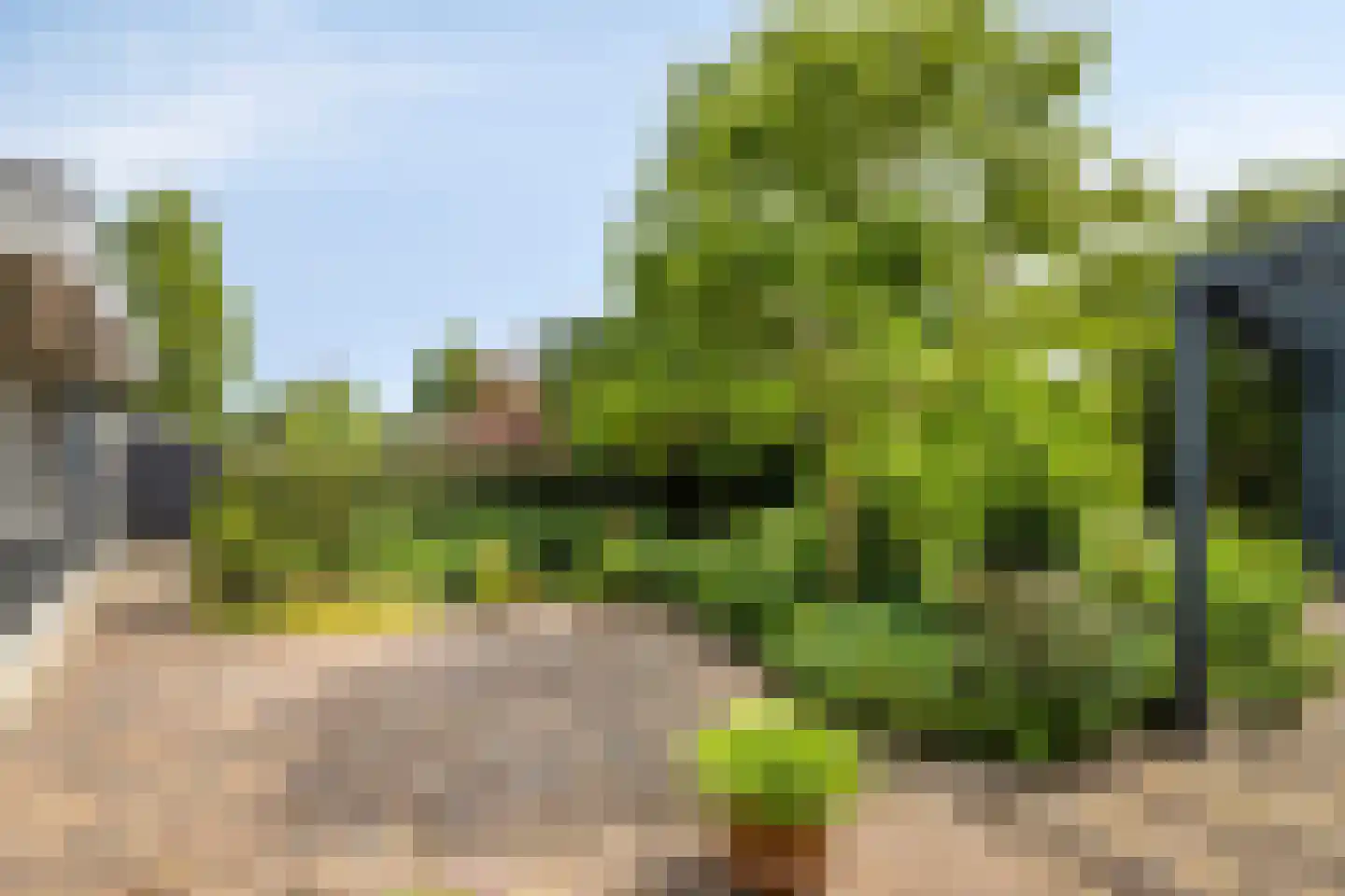 Dreef 1 a Wadenoijen thumbnail 37
