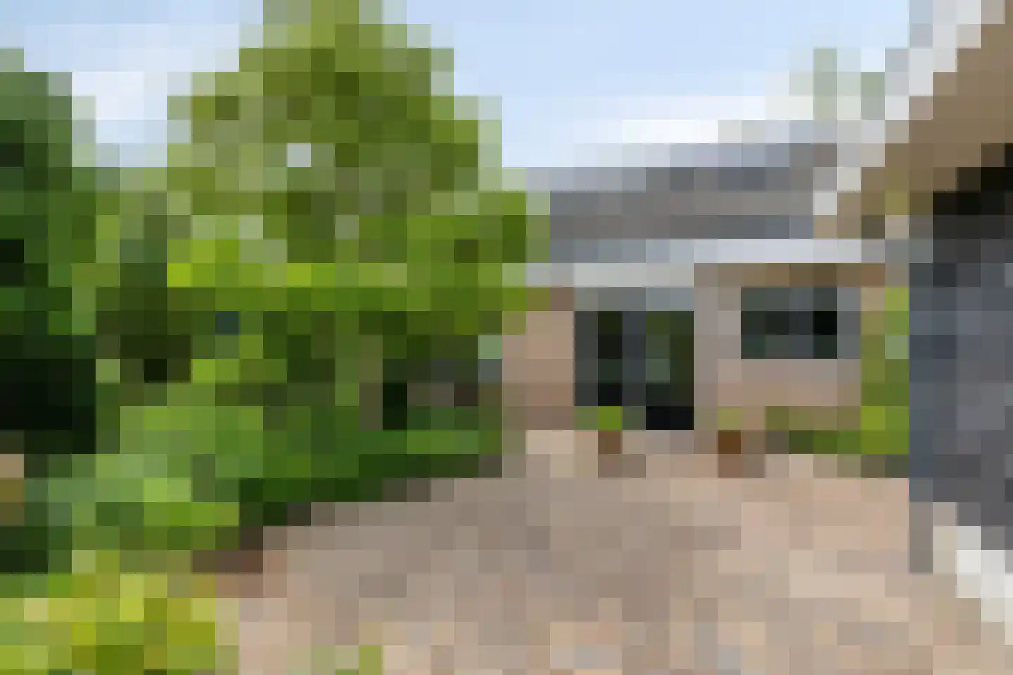 Dreef 1 a Wadenoijen thumbnail 39