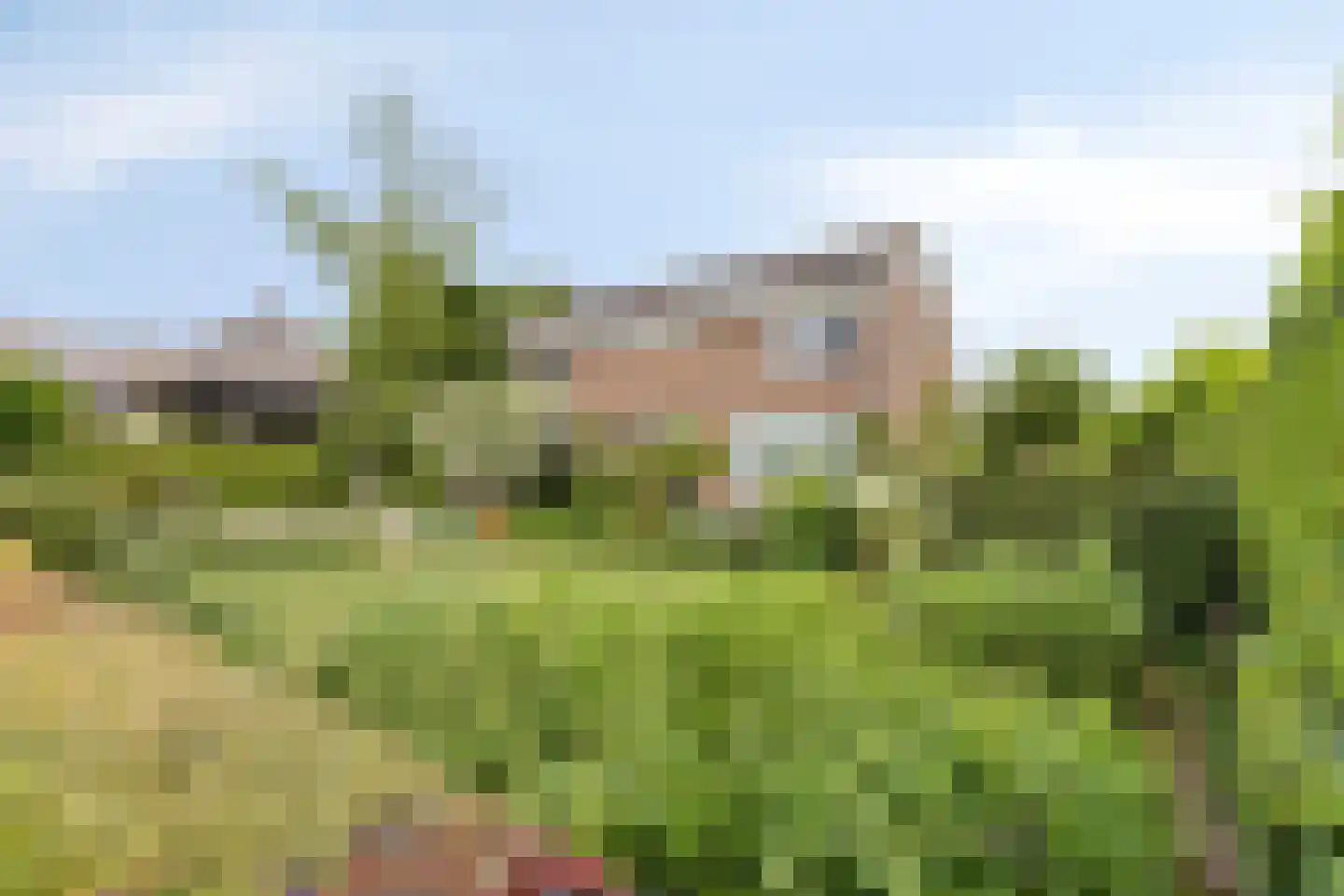 Dreef 1 a Wadenoijen thumbnail 47