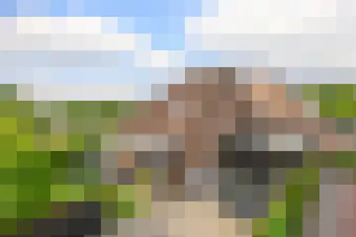 Dreef 1 Berkenwoude