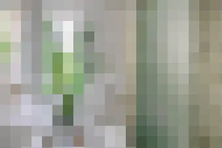 Dreef 1 Berkenwoude thumbnail 41
