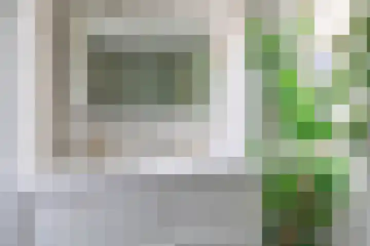 Dreef 1 Berkenwoude thumbnail 42