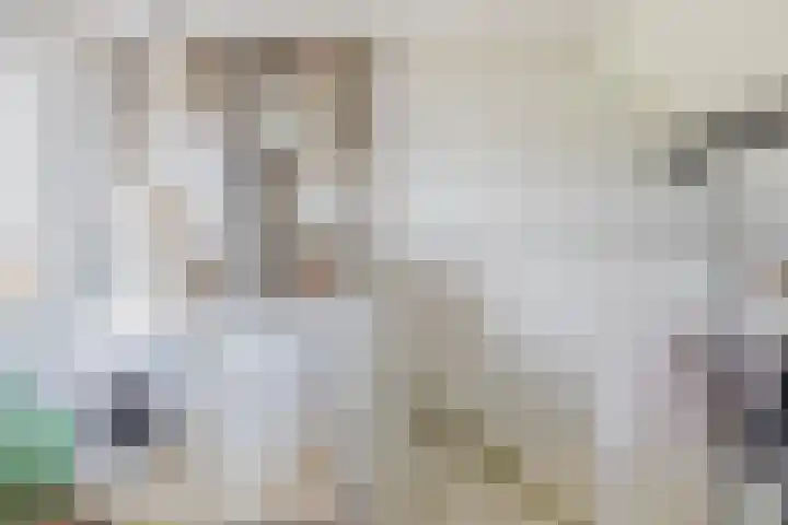 Dreef 1 Berkenwoude thumbnail 43