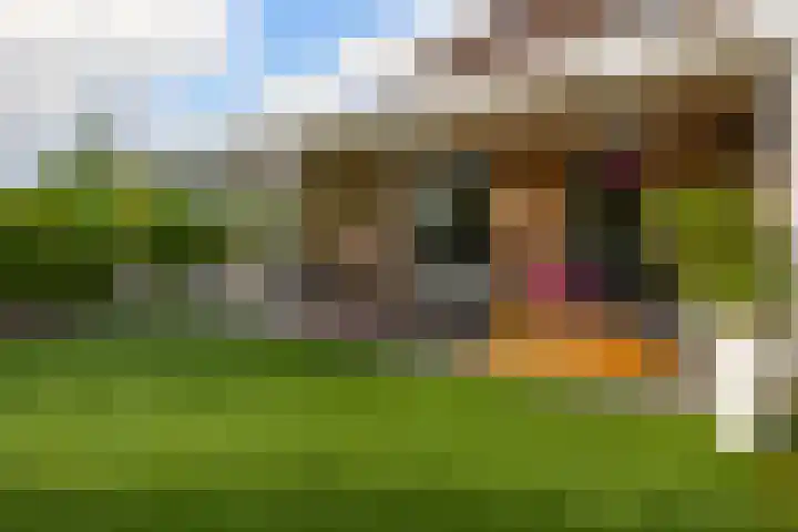 Dreef 1 Berkenwoude thumbnail 45