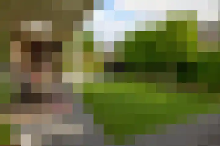 Dreef 1 Berkenwoude thumbnail 47