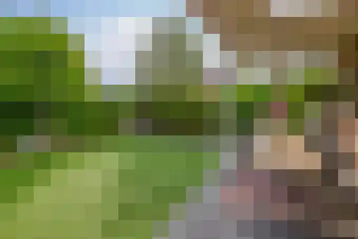Dreef 1 Berkenwoude thumbnail 49