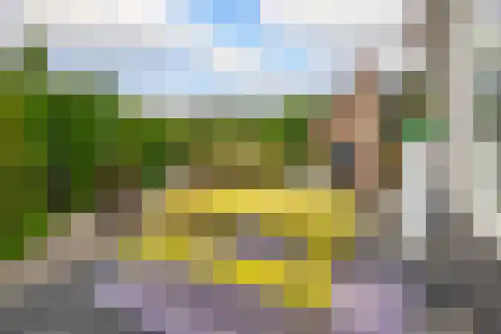 Dreef 1 Berkenwoude thumbnail 53