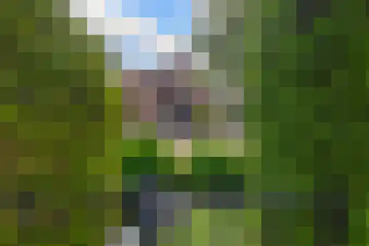 Dreef 1 Berkenwoude thumbnail 54