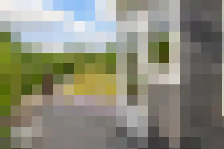 Dreef 1 Berkenwoude thumbnail 55