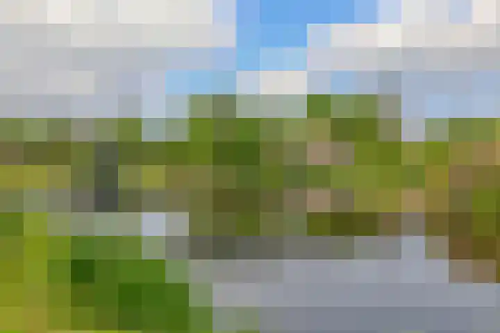 Dreef 1 Berkenwoude thumbnail 57