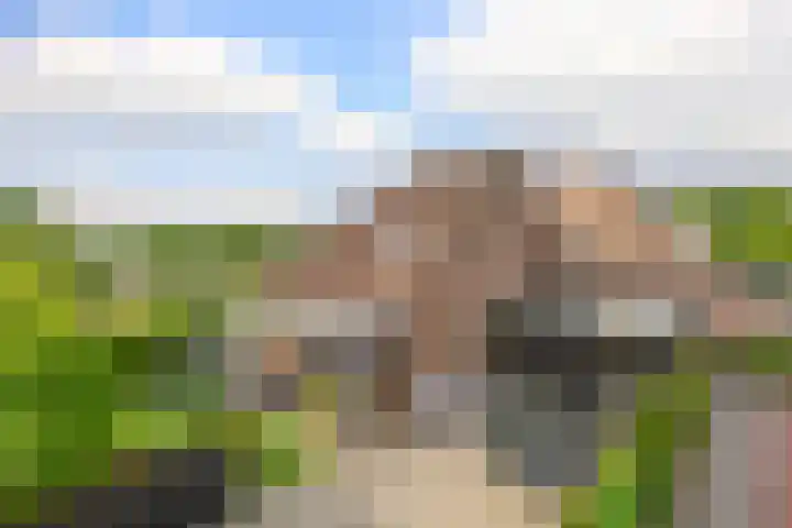 Dreef 1 Berkenwoude thumbnail 6