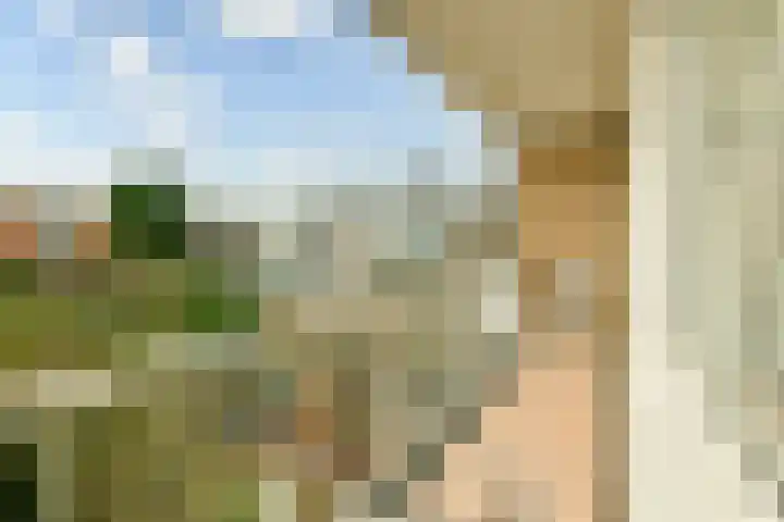 Dreef 1 Berkenwoude thumbnail 62