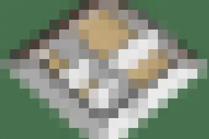 Dreef 1 Berkenwoude thumbnail 63