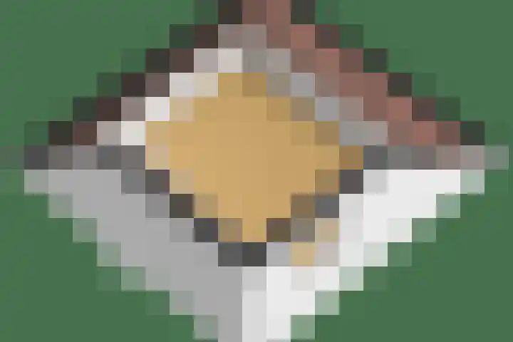 Dreef 1 Berkenwoude thumbnail 65