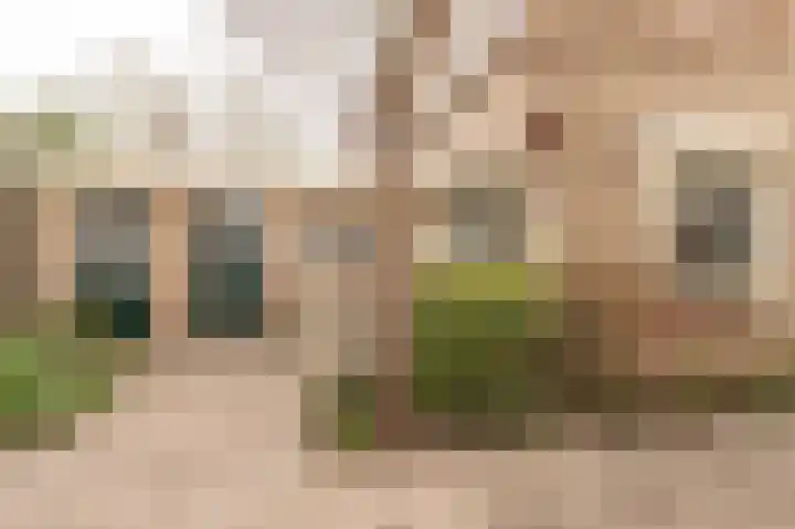 Dreef 1 Berkenwoude thumbnail 7