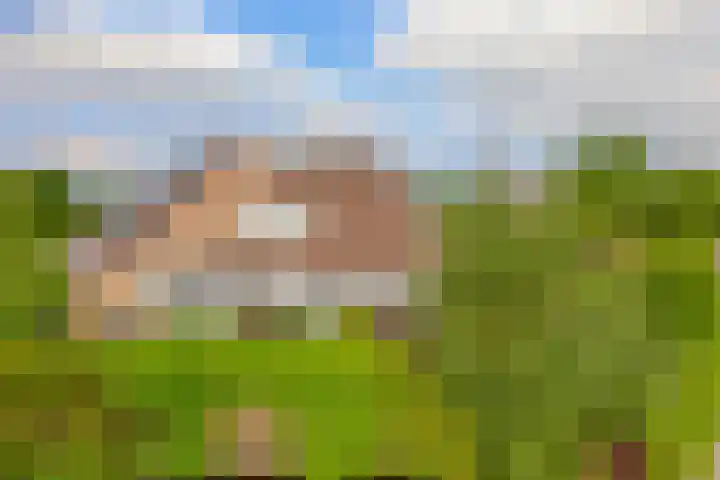 Dreef 1 Berkenwoude thumbnail 8